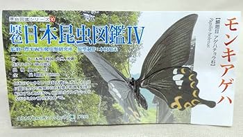 Amazon | 原色日本昆虫図鑑IV モンキアゲハ 未開封 ユージン