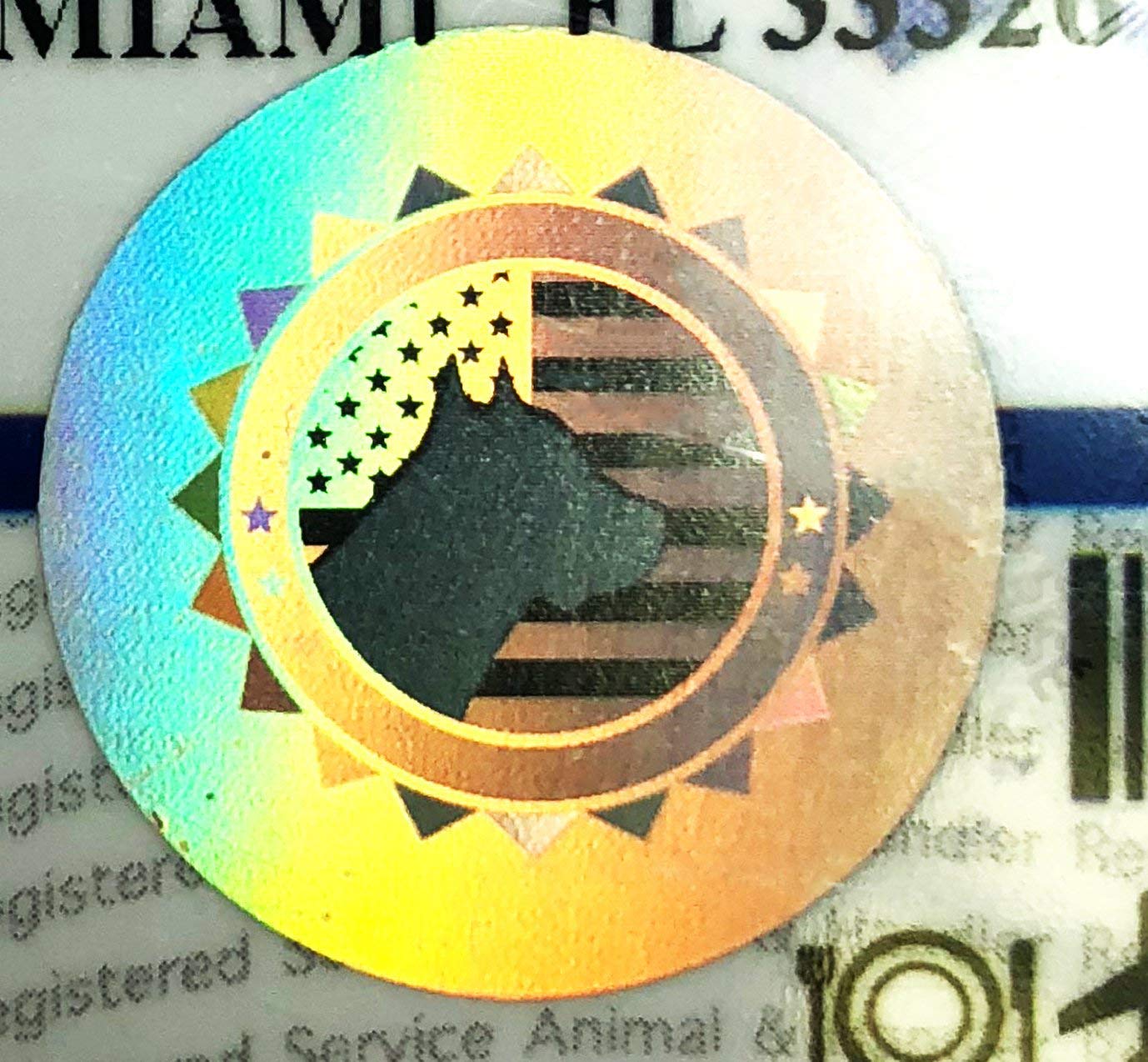 Amazon.com: XpressID Custom Holographic Service Dog ID Card with Photo &  Handler Info - Registration to U.S Service Dogs Registry