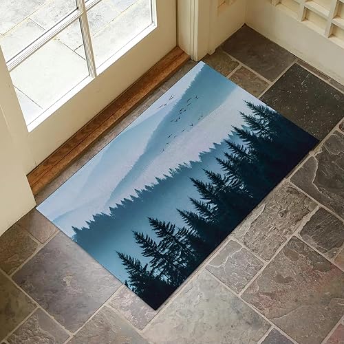 Forest Indoor Door Mat for Entryway, 17x29.5 Inch, Tranquil Blue