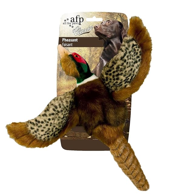 All For Paws Perro Juguete con Squeaker