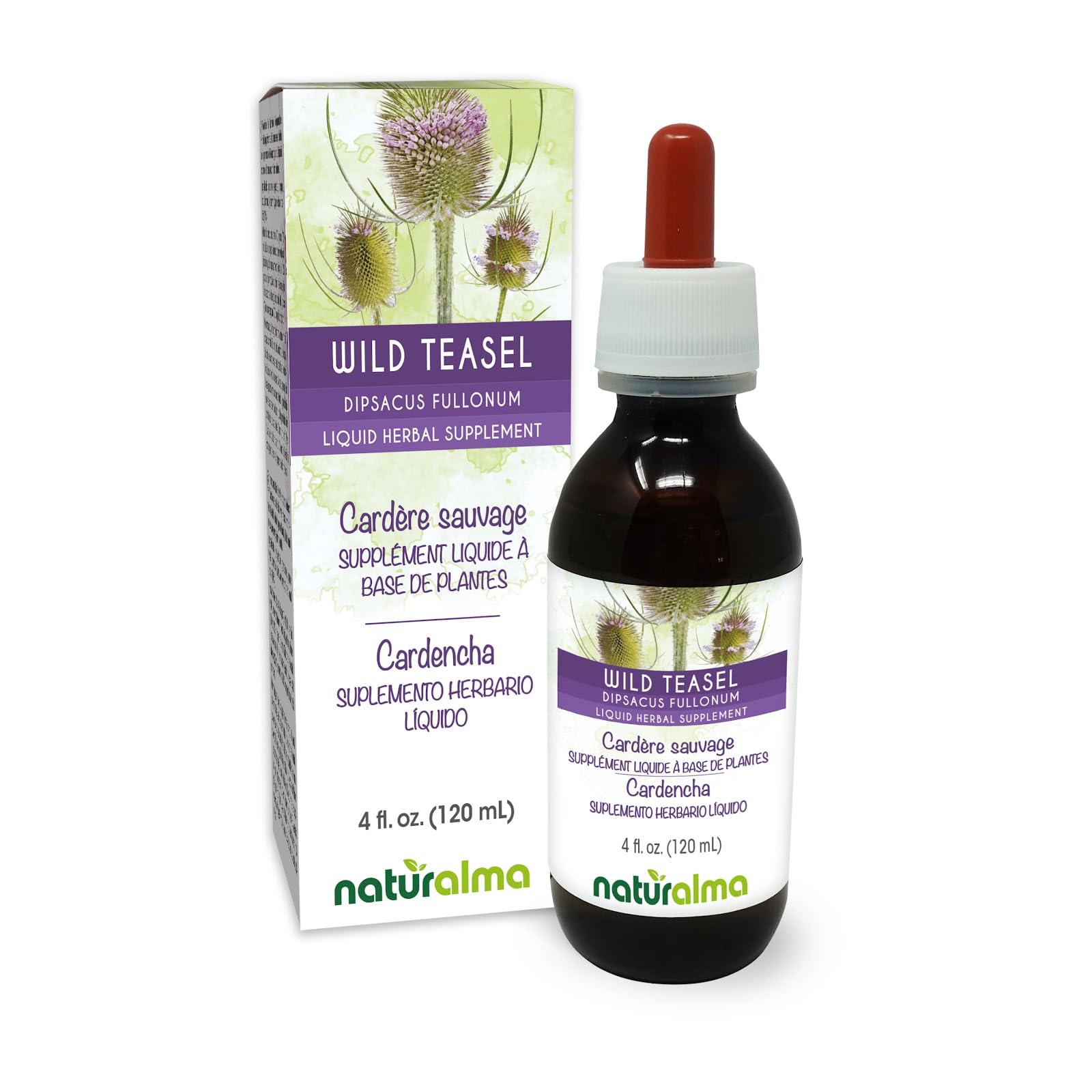 Naturalma Wild Teasel or Fuller's Teasel (Dipsacus fullonum or D. sylvestris) Root Alcohol-Free Tincture - 4 fl oz Liquid Extract in Drops - Herbal Supplement - Vegan 4 Fl Oz (Pack of 1)
