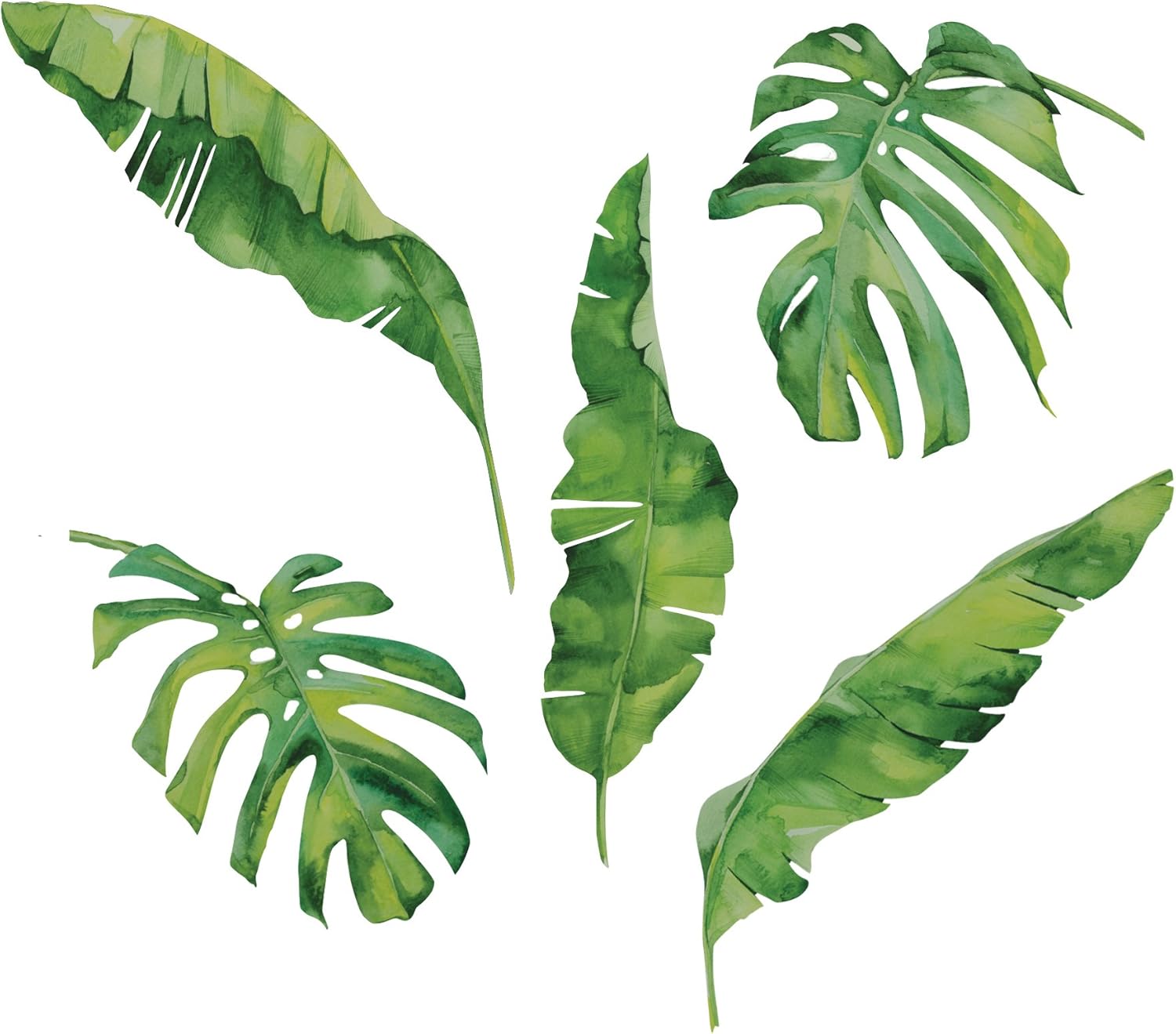 5 Large Tropical Palm and Banana Leaves Wall Decals, Eco