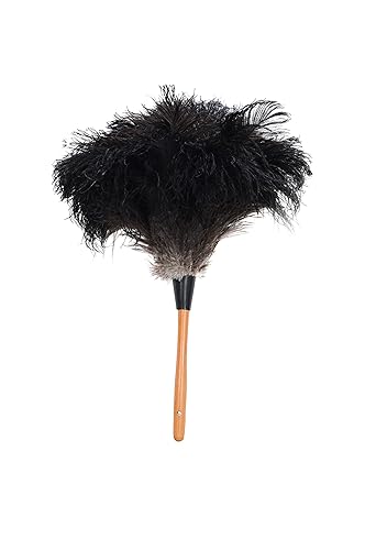 Feather Duster for Maid outfit