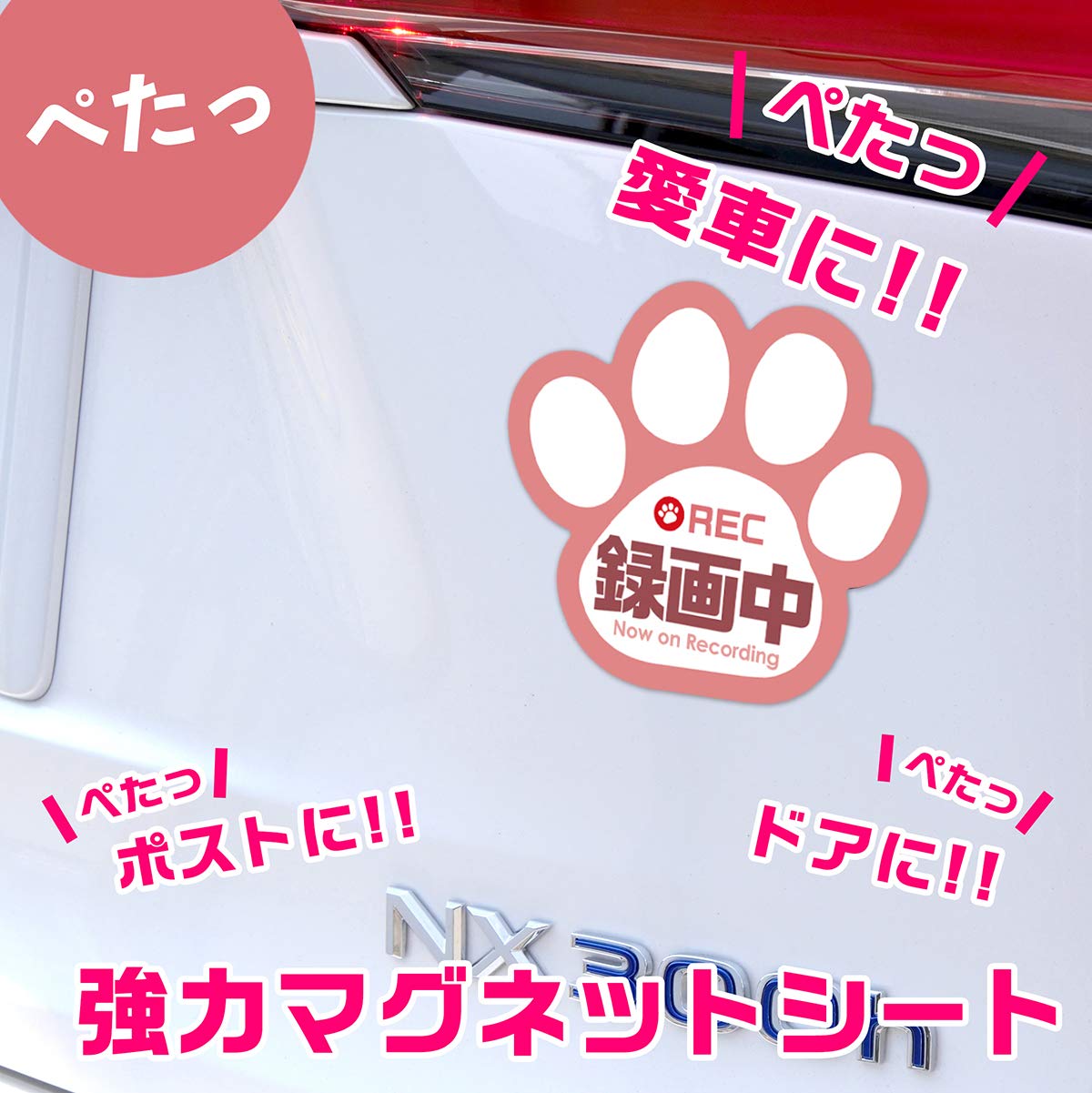 Amazon.co.jp: 録画中 マグネットステッカー 肉球 12cm×11cmドライブ 