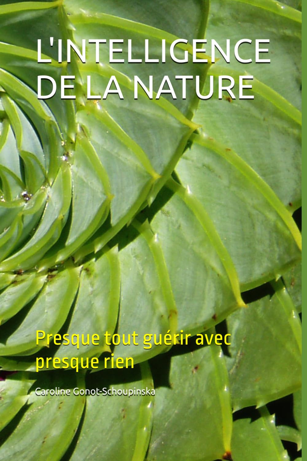L'INTELLIGENCE DE LA NATURE: Presque tout guérir avec presque rien