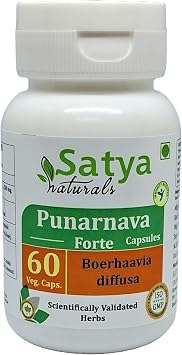Punarnava Forte Capsule 500 mg. 60 Veg. Capsule | Punarnava Boerhaavia Diffusa Extract Capsules for Men and women | Ayurvedic Herbal Supplement/Remedies | 101 Forte 1 Bottle of 60 Capsules