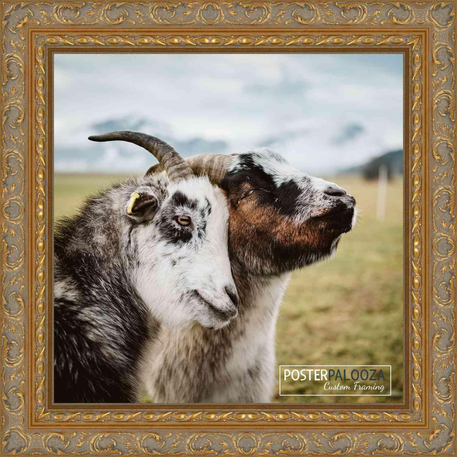Poster Palooza 8x8 Frame Gold Ornate Antique Solid Wood Picture Frame | 2 Inch Moulding Width | with UV Acrylic Plexiglass, Foam Board Backing & Hanging Hardware Included