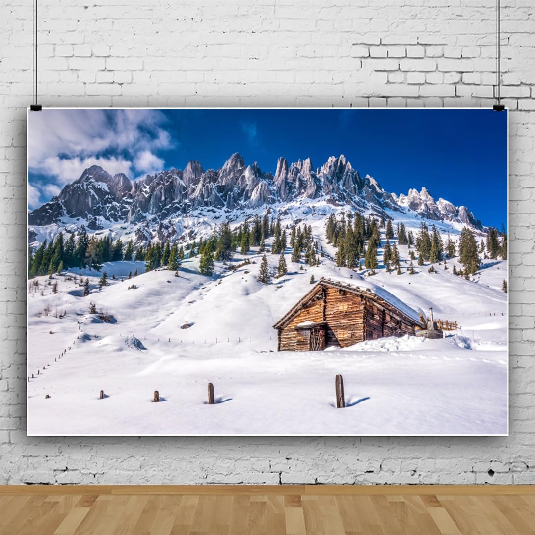 YongFoto Fotohintergrund 3x2 M – Winter-Weihnachtsdesign Mit Tannenzweigen & Flocken, Aus Vinyl, Für Studio & Party