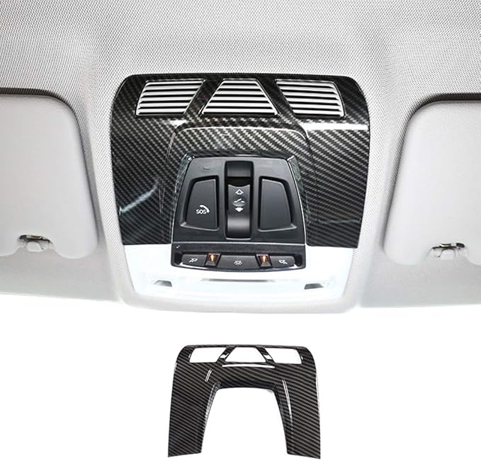 Amazon.com: ABS Carbon Fiber Color Car Inner Front Reading Light Lamp ...