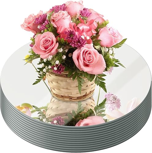 JAMBALAY Centros de mesa de espejos redondos de 10 pulgadas para mesas, paquete de 12 bandejas circulares de espejo, placas de espejo redondas, JAMBALAY Centros de mesa de espejos redondos de 10 pulgadas para mesas, paquete de 12 bandejas circulares de espejo, placas de espejo redondas,