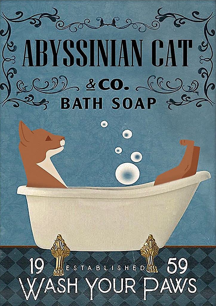 Abyssinian Cat Bathroom Tin Sign Metal Signs, Fun Poster For Bar Kitchen Cafe Farmhouse Wall Decor 12x16 inch