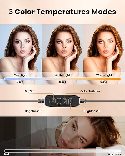 Miniatura 5 de Evershop Anillo de luz para computadora portátil con clip, iluminación de videoconferencia de computadora pequeña con soporte para teléfono/cámara