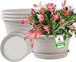 Paquet de 6 10 inch Pot de plantes, Pots de plantes en plastique rond, Pot d'extérieur pour les plantes avec trou de drainage & Saucer de plateau, Décoration Pots de fleurs pour les plantes intérieures Maison Jardin Planteurs extérieurs (Gris foncé)