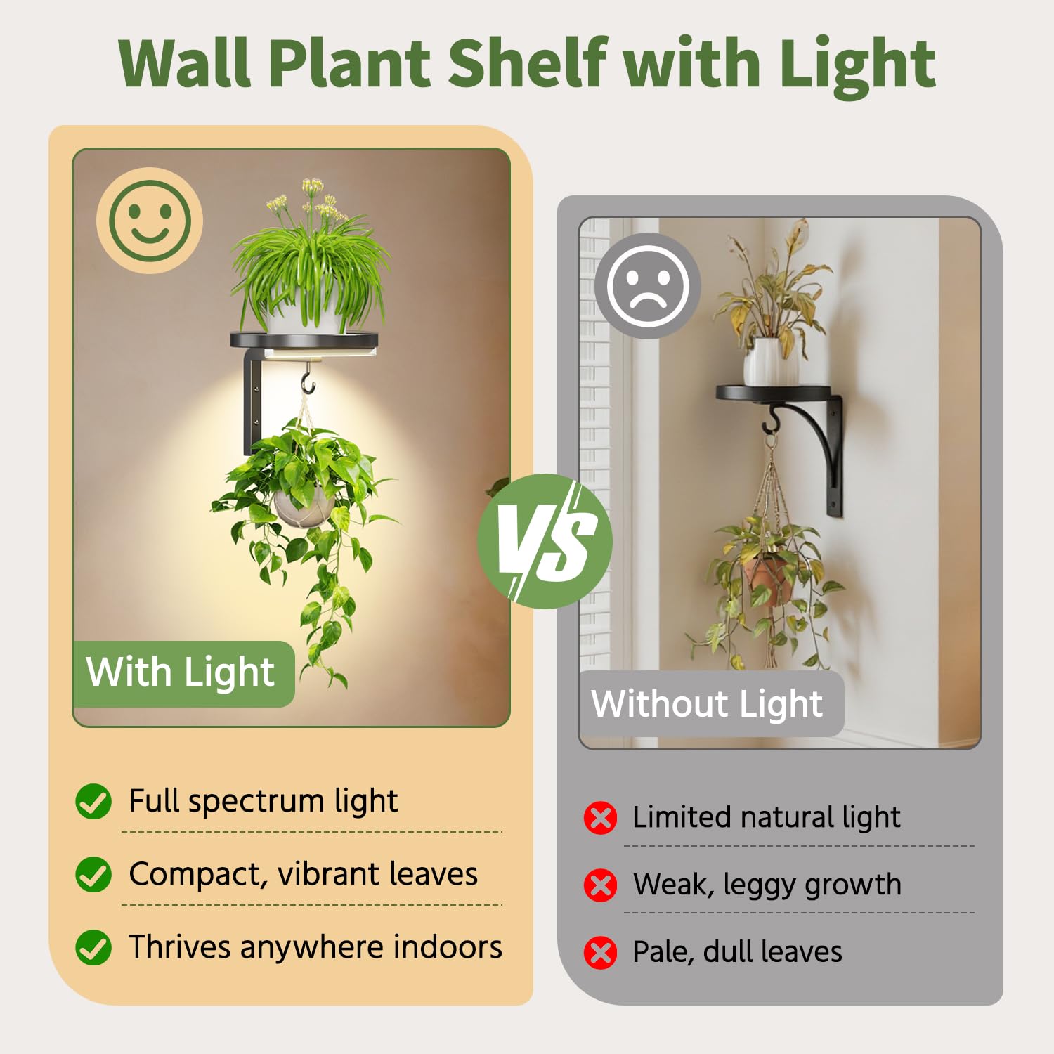 LASZOLA Lot de 2 supports muraux pour plantes d'intérieur avec lampes de croissance, supports de fenêtre en métal, présentoir à fleurs flottant moderne avec 2 crochets pour décoration extérieure