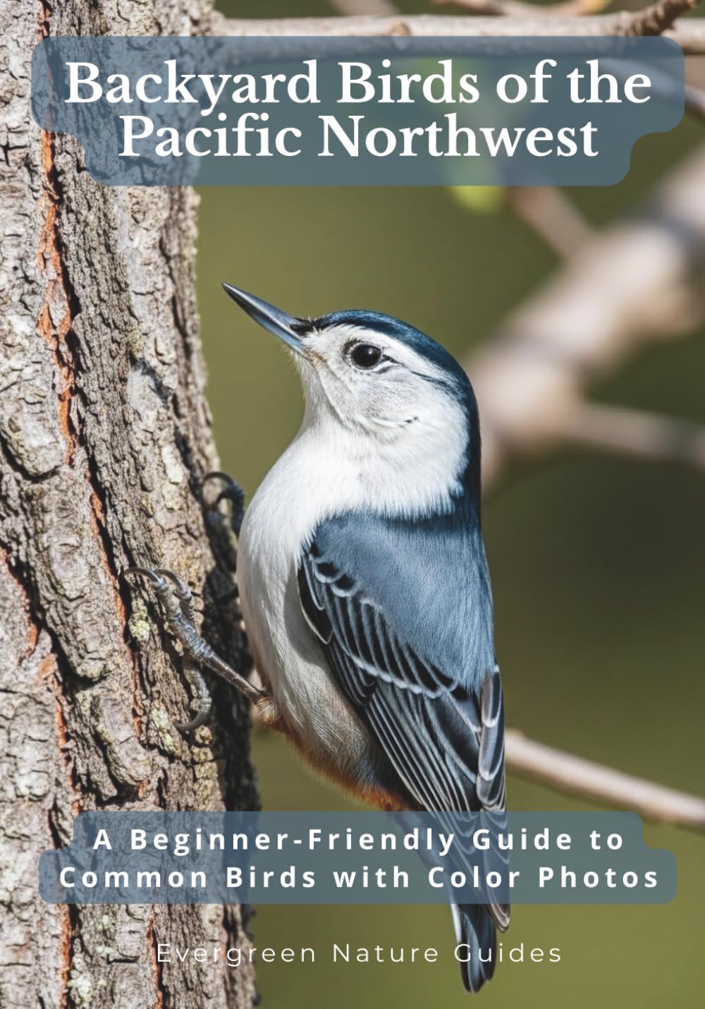 Backyard Birds of the Pacific Northwest: A Beginner-Friendly Guide to Common Birds with Color Photos