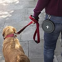 Vista 56 de Rest-Eazzzy Cuencos grandes plegables para perros de 33.8 fl oz, paquete de 2 cuencos de agua portátiles para perros, gatos y mascotas, plato