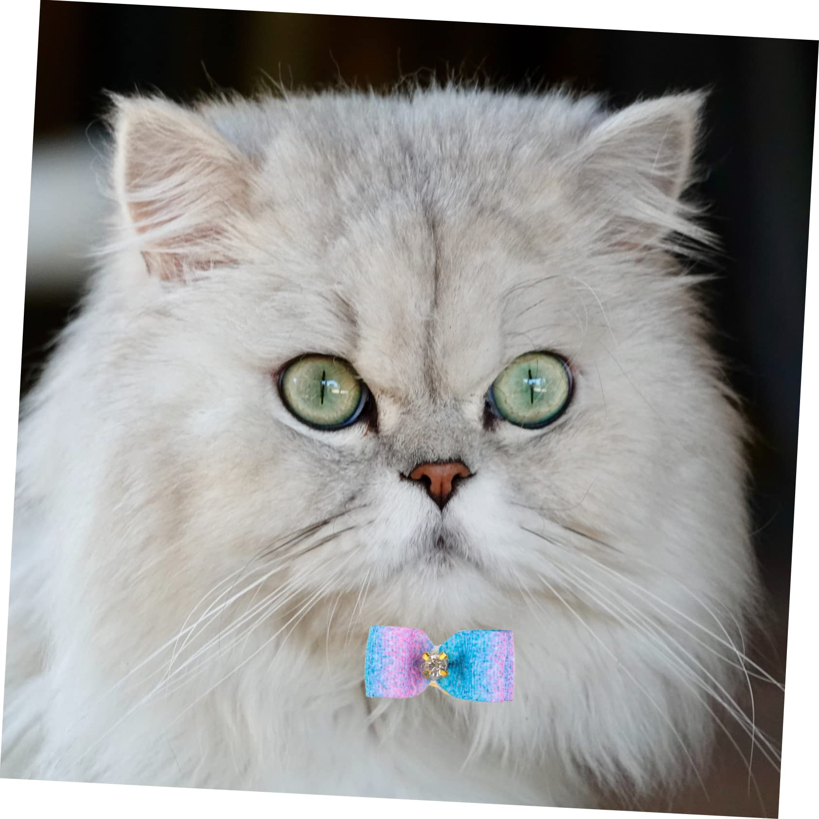 Toddmomy 100 Piezas Flor de Cabeza de Mascota Banda de Pelo de Anillo de Pelo con Lazo para Mascotas Perros Accesorios decoración para Mascotas Lazo de Goma para Arcos de