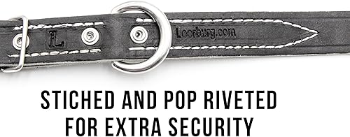 Miniatura 9 de Leerburg 's Amish Soft Latigo - Cuello de cuero de 1 pulgada de ancho (tamaños para cuellos de 18 a 25 pulgadas) con herrajes de acero inoxidable