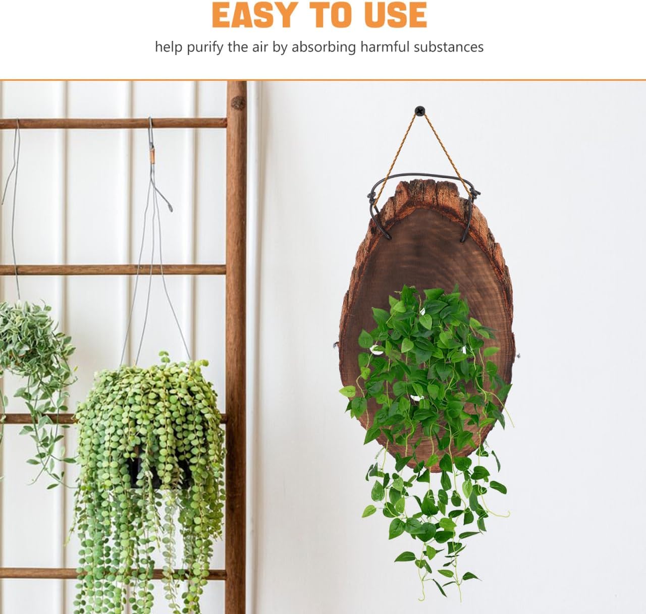 HANABASS Wooden Wall Planter Natural Solid Wood Fern Mounting Board for Orchids Succulents and Climbing Plants Rustic Aesthetic Decor for Home Office and Hotel