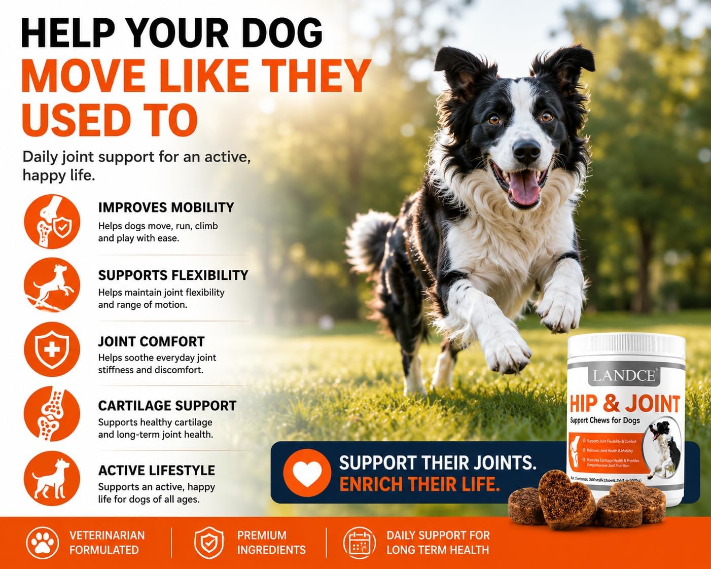 LANDCE Hip and Joint Chews for Dogs 200 Soft Chews Glucosamine Chondroitin MSM Mobility Support — view 3