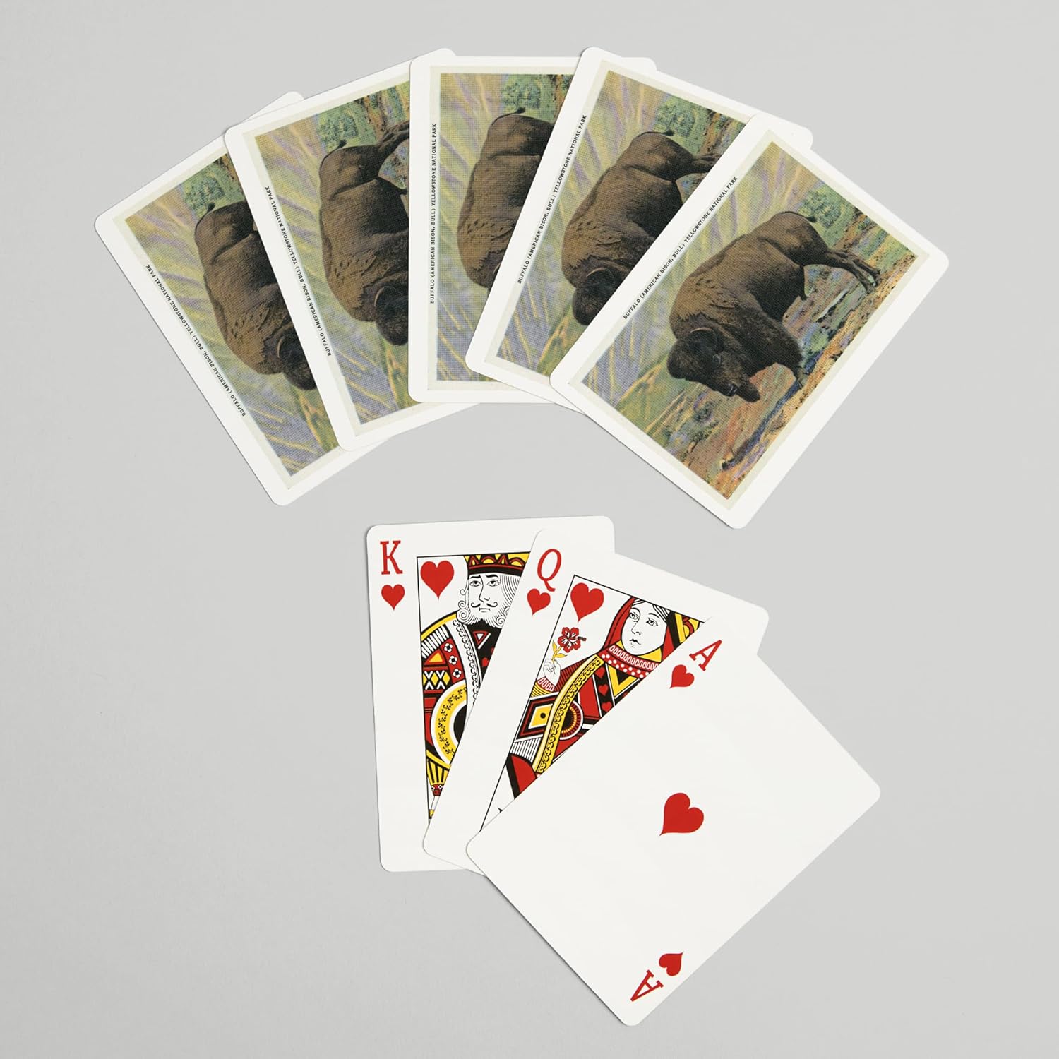 Lantern Press Yellowstone National Park, Wyoming, View of a Buffalo (American Bison), 52 Playing Cards for Adults, Poker Size Card Deck