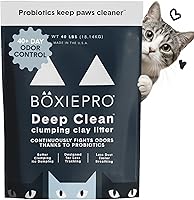 Boxiecat Probiotic Clumping Cat Litter: 40-Day Odor Control, Dust-Free Clay, Unscented Probiotics, No Fillers, 40 lb Bag
