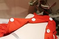 Vista 100 de Vestido de princesa de encaje para perros pequeños y pequeños extragrandes, color negro, talla L