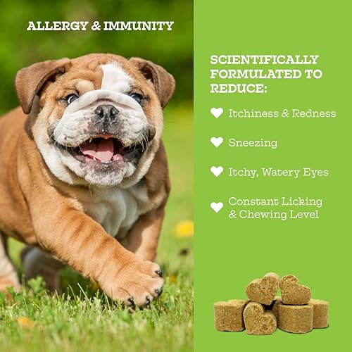 Miniatura 2 de Moe's - Soporte para alergias e inmunitarios para perros, ayuda a prevenir la picazón, las alergias estacionales y la inmunidad, aceite de pescado