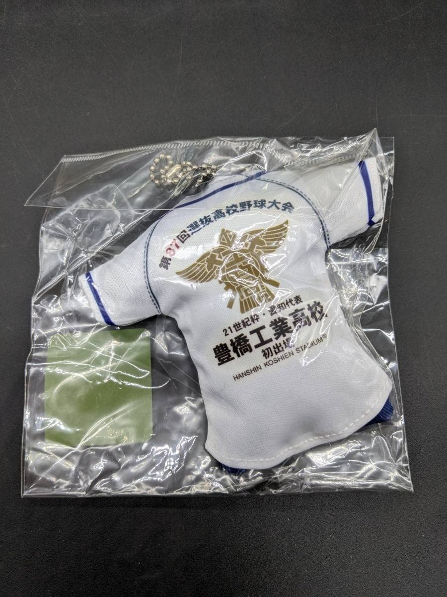 Amazon.co.jp: 第87回 甲子園 選抜 高校野球 豊橋工業高校