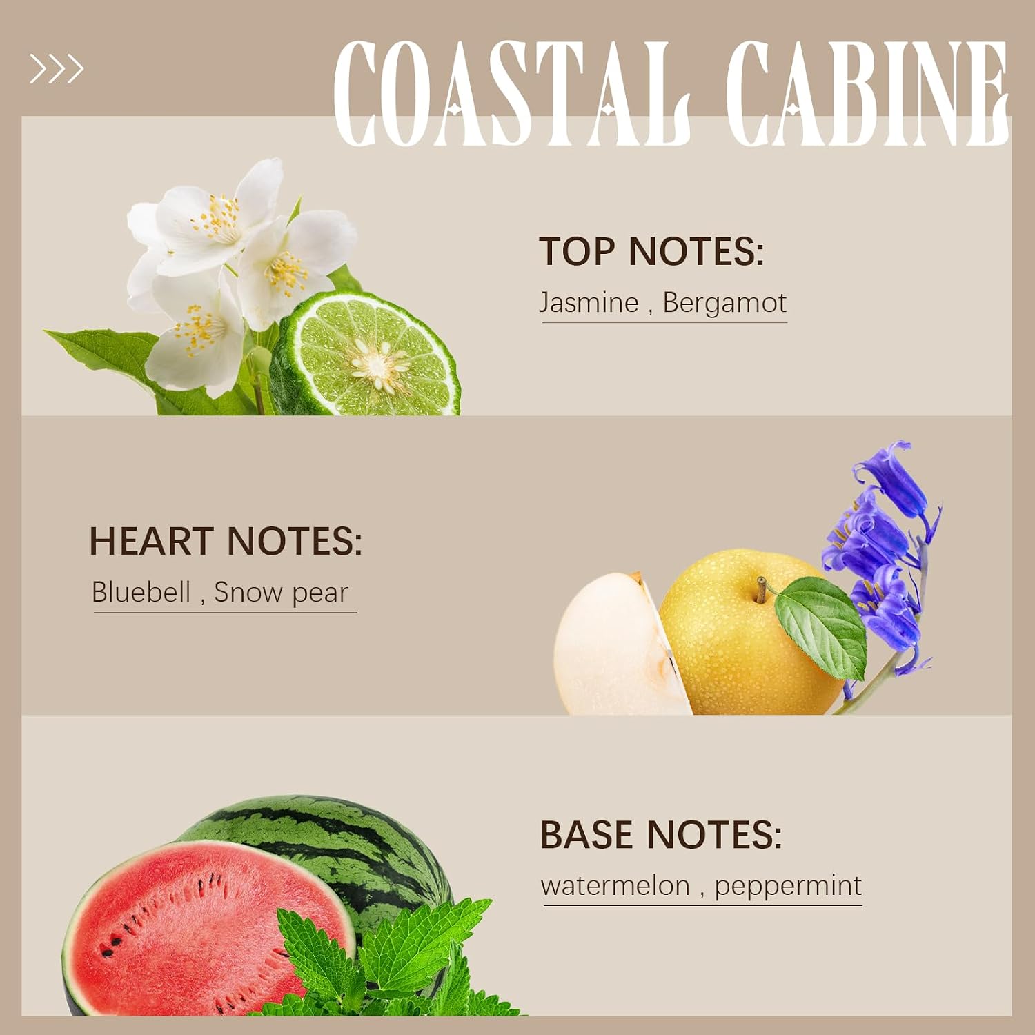 Hotel Diffuser Oil Coastal Cabana Fragrances Inspired by 5-Star Hotel Scent
