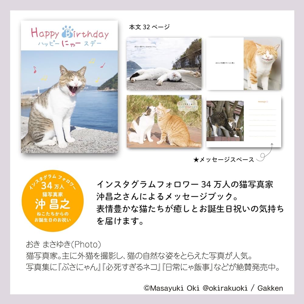 Amazon | 学研ステイフル 誕生日カード Happy Birthday ハッピーにゃ