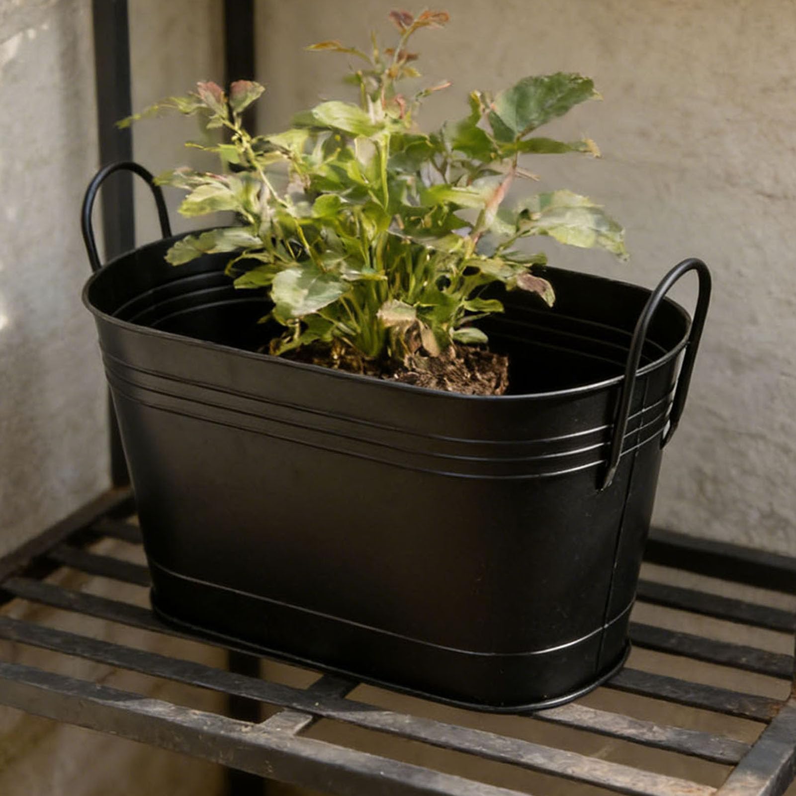 Cocoarm Soporte para Leña, Cubo para Leña de Hierro, 21,9 X 14,0 X 10,4 Pulgadas, Contenedor de Almacenamiento de Metal Ovalado con Asas para Chimenea Interior, Hoguera para Exteriores, Plantación