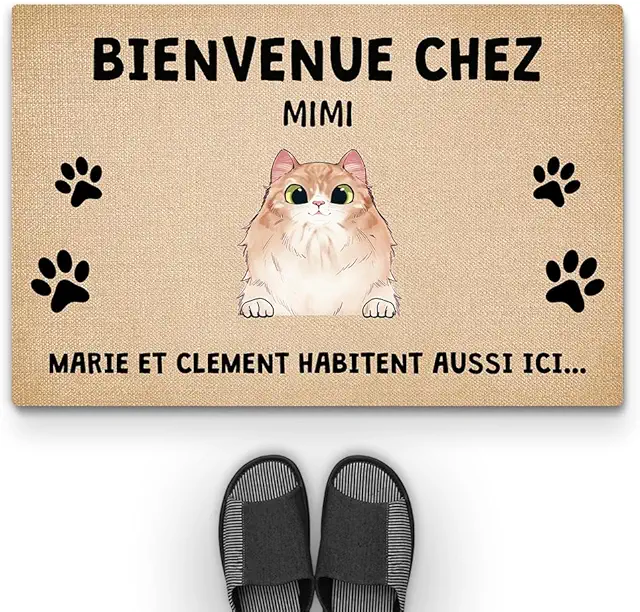 Paillasson Personnalisé Chat - Tapis d'Entrée Antidérapant avec Impression