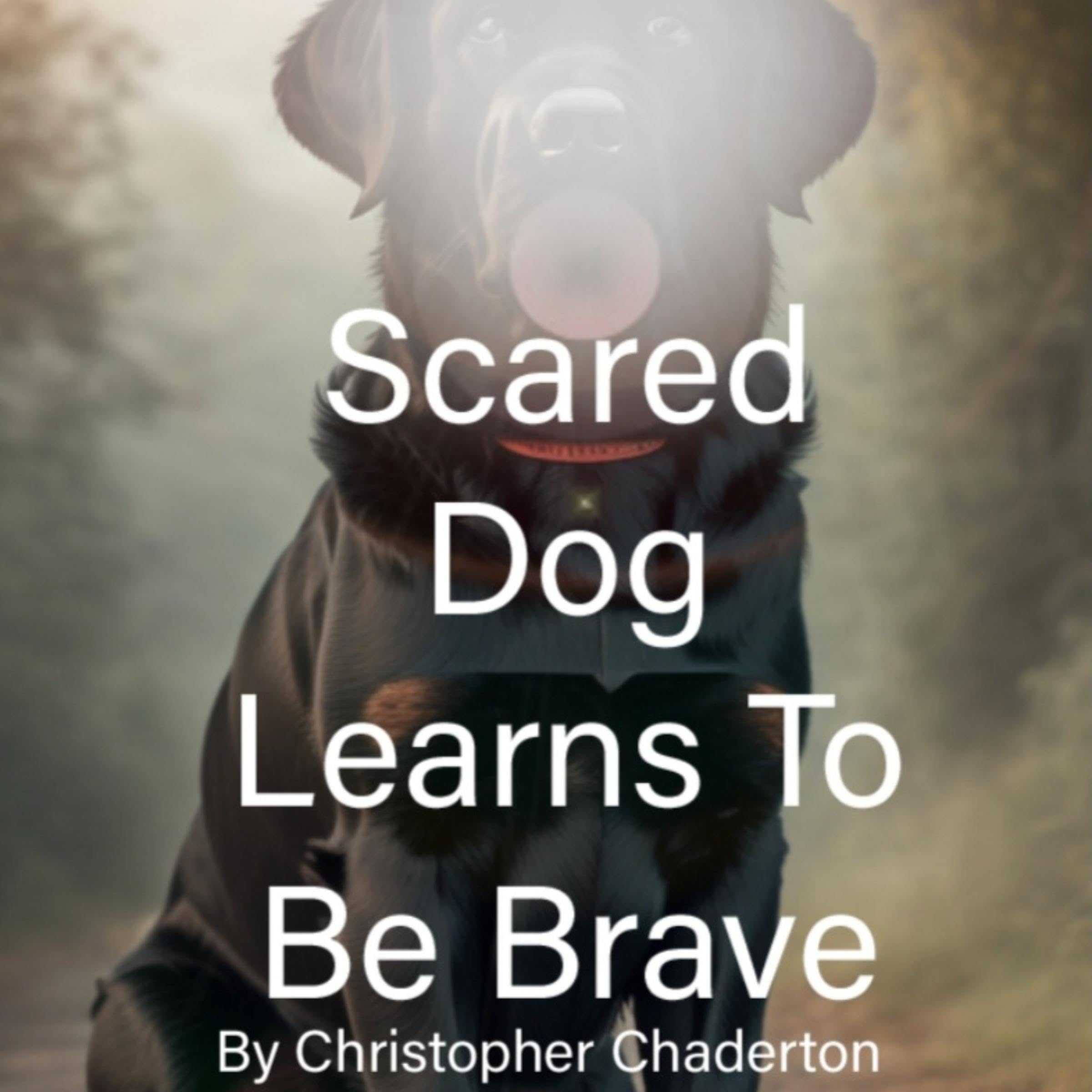 Scared Dog Learns to Be Brave