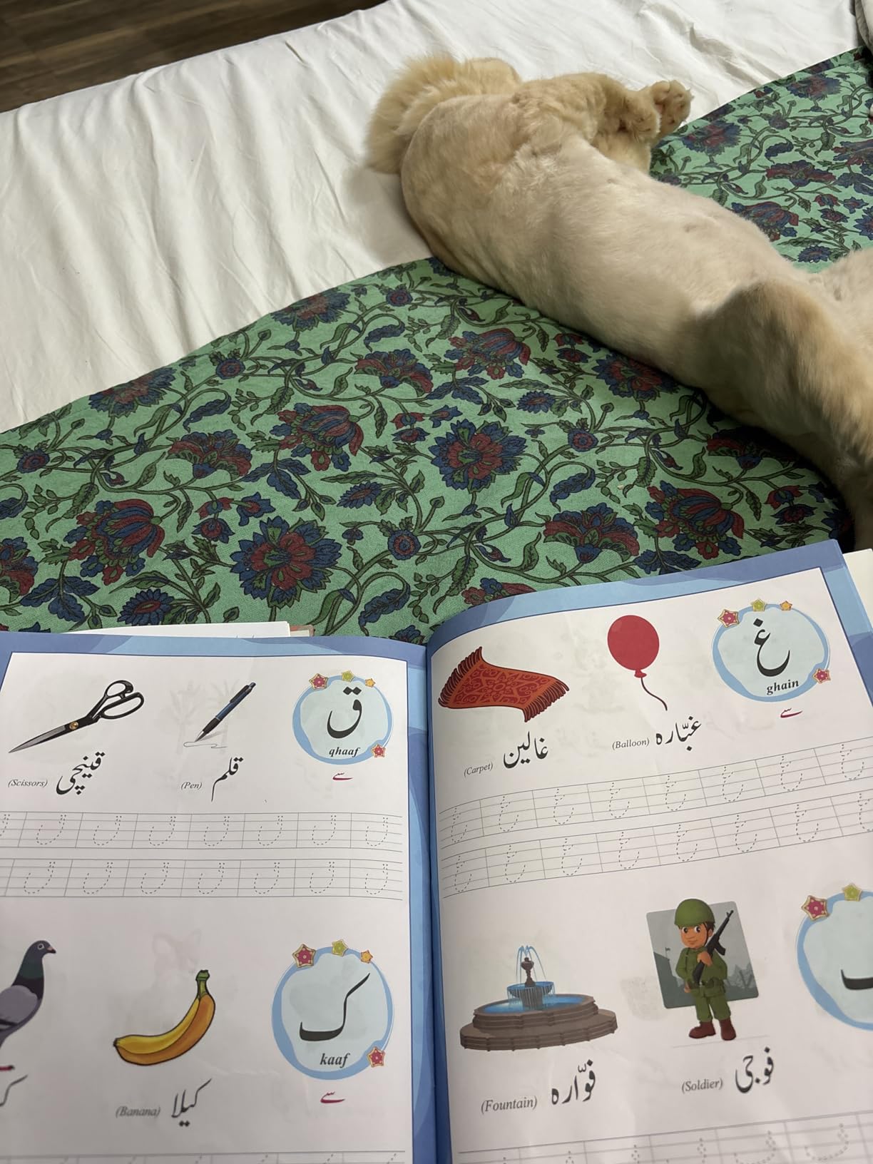 Buy Urdu alphabets for kids with Writing Book B / Urdu learning books ...