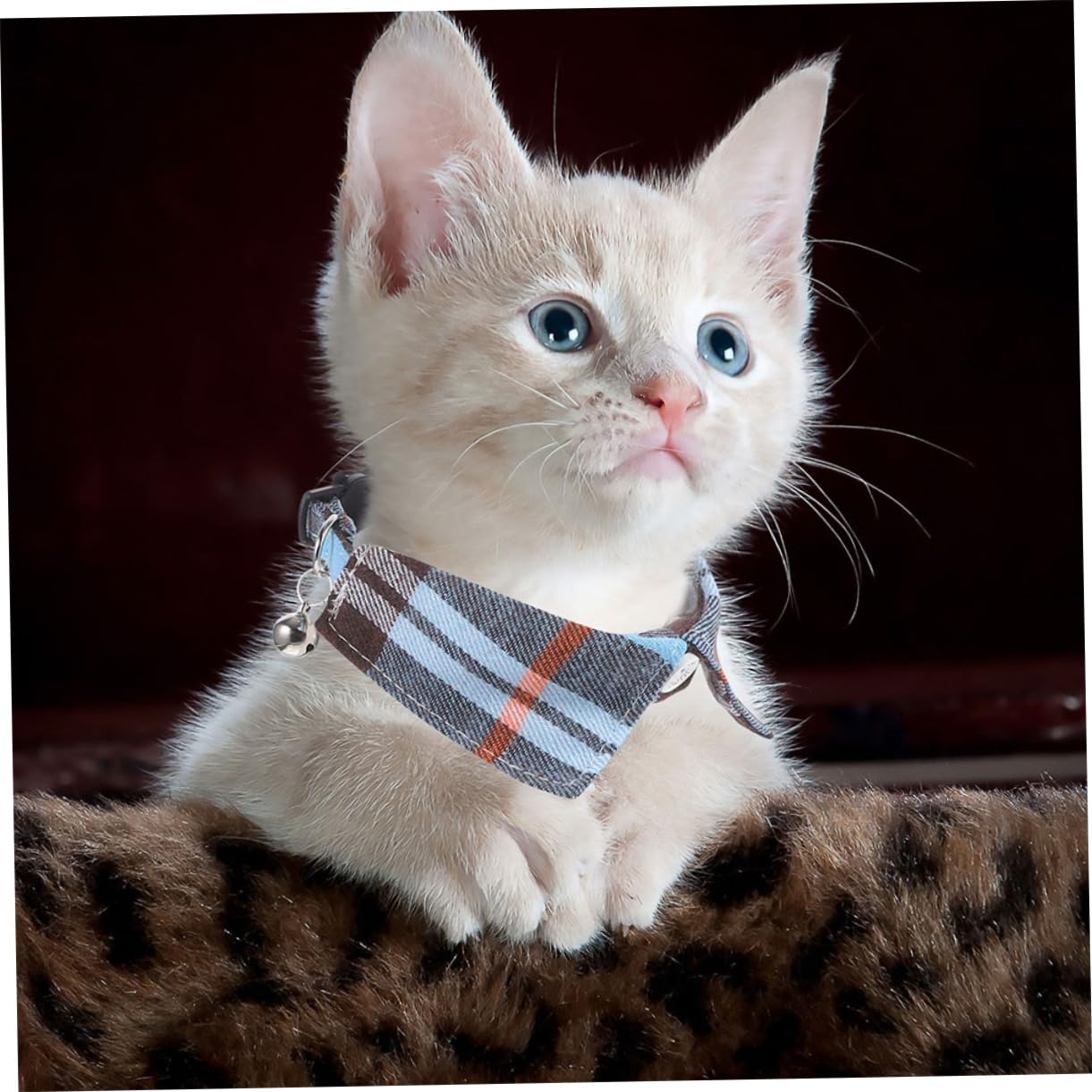 Toddmomy 8pièces Collier pour Chat avec Clochette Et Nœud Décoratif Réglable Et Sécurisé Motif à Carreaux pour Fêtes Photos