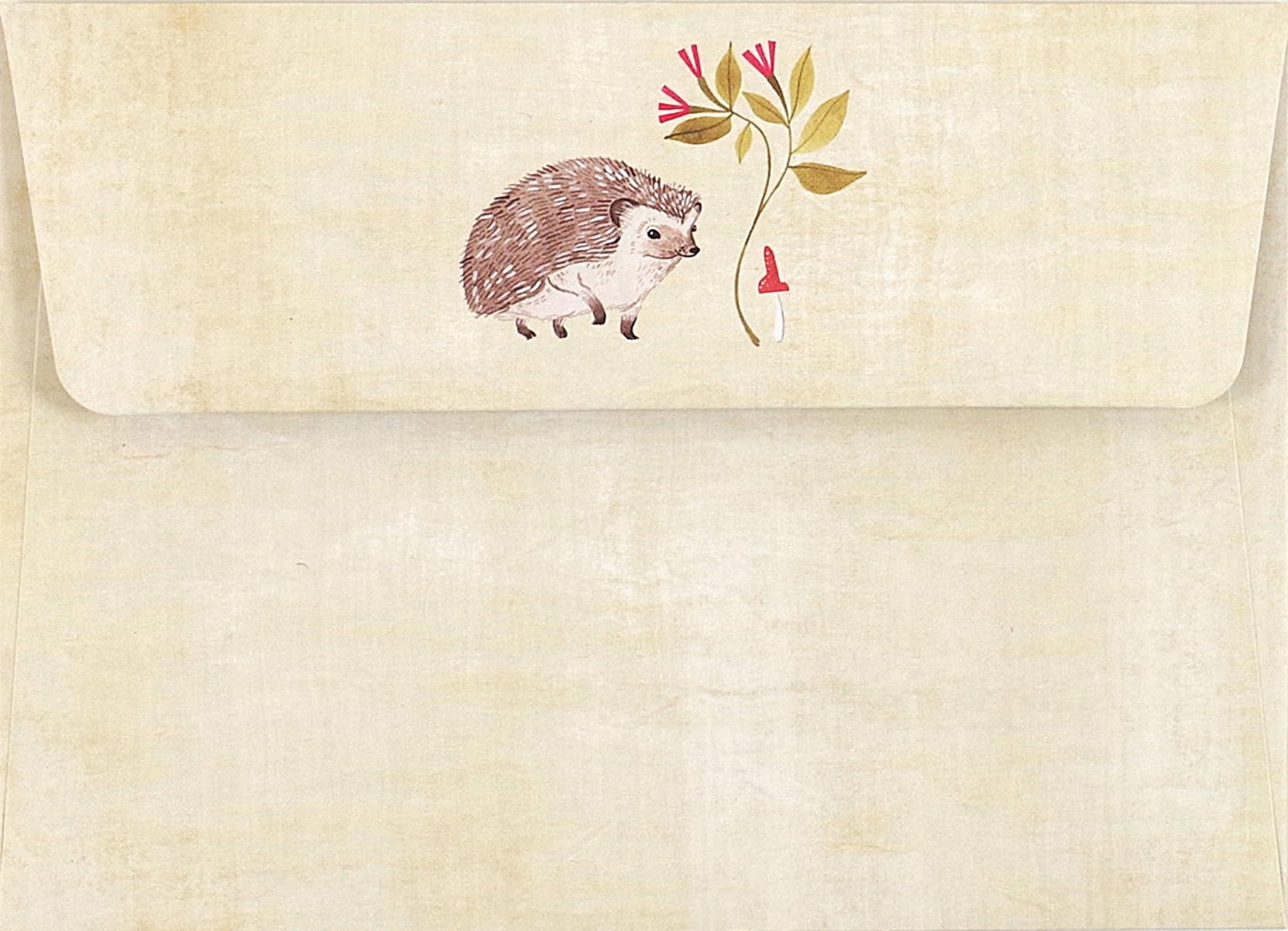 Hedgehog Note Cards (Stationery, Boxed Cards), Multi - Image 2