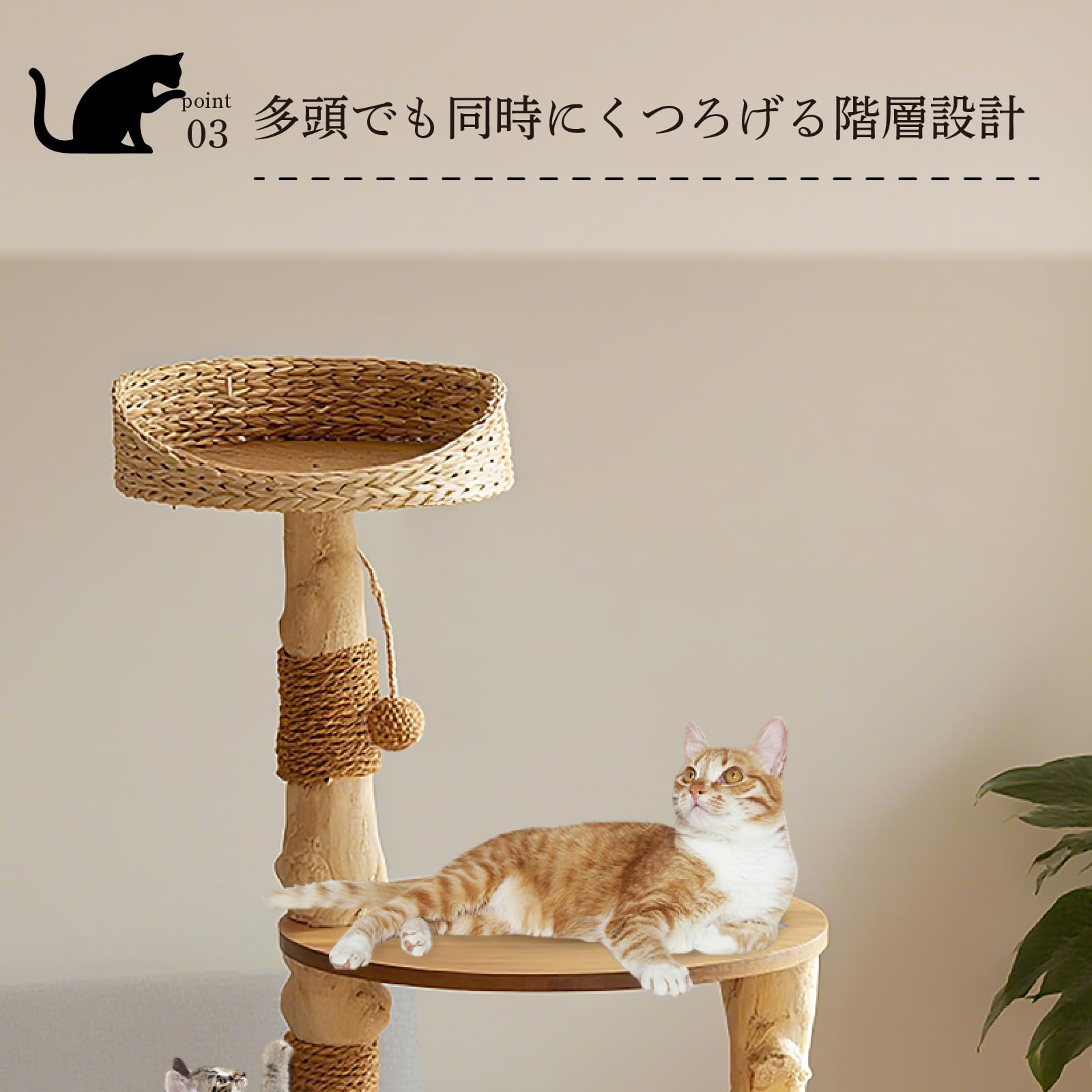 ハリーバーカー Harry Barker 天然 コーヒー木 キャットタワー 猫 Amazon | ハリーバーカー Harry Barker【天然コーヒー木使用】キャット