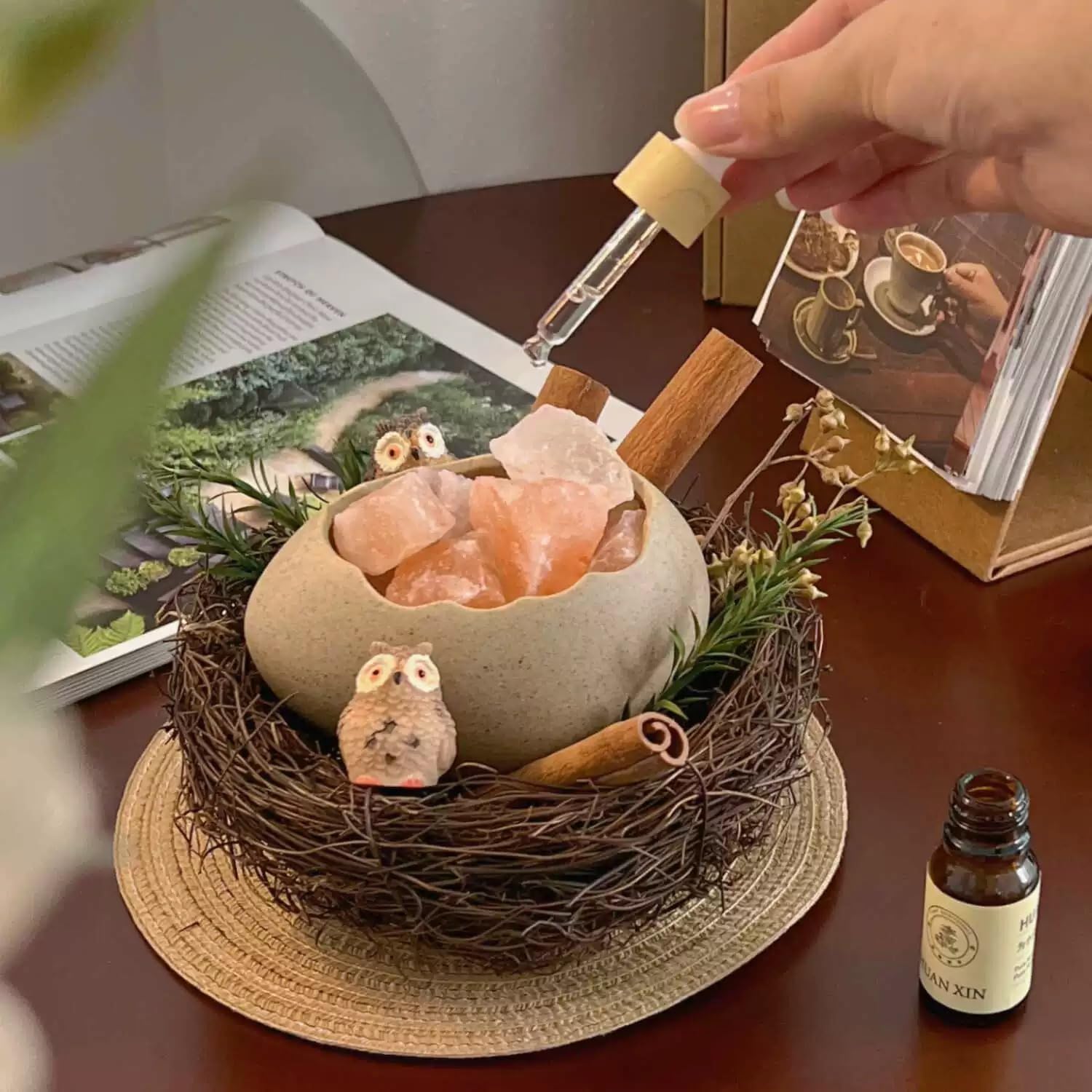 Handcrafted Bird's Nest Aromatherapy Set – Ceramic Egg Diffuser with Himalayan Salt Stone, 4 Premium Essential Oils, Luxury Gift Box for Mom, Sister, Her (Lavender)