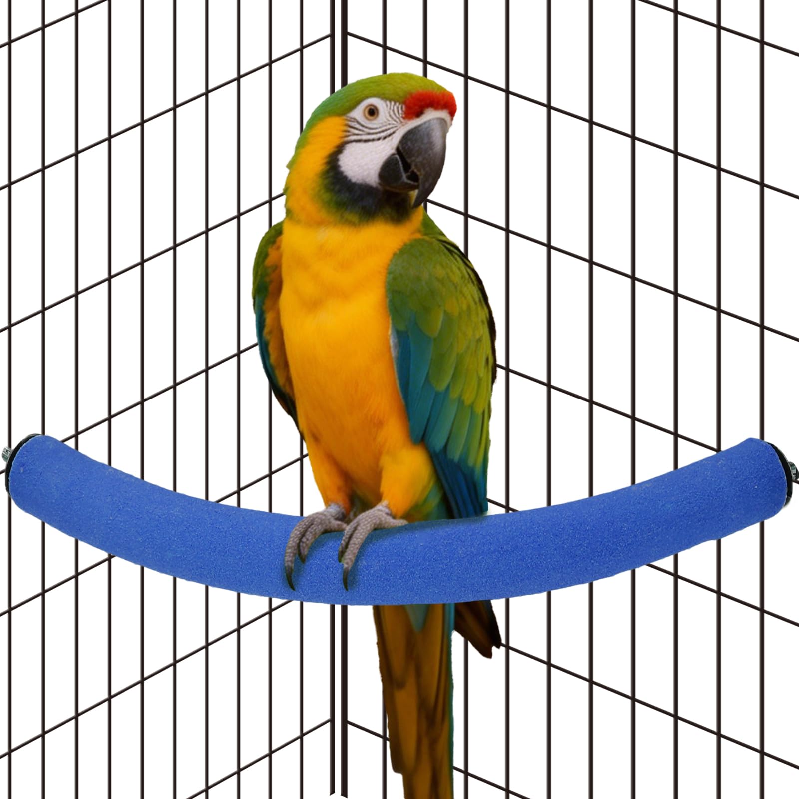 Rypet 90-Degree Parrot Perch for Cage Corner, Quartz Bird Perch (Blue XL)