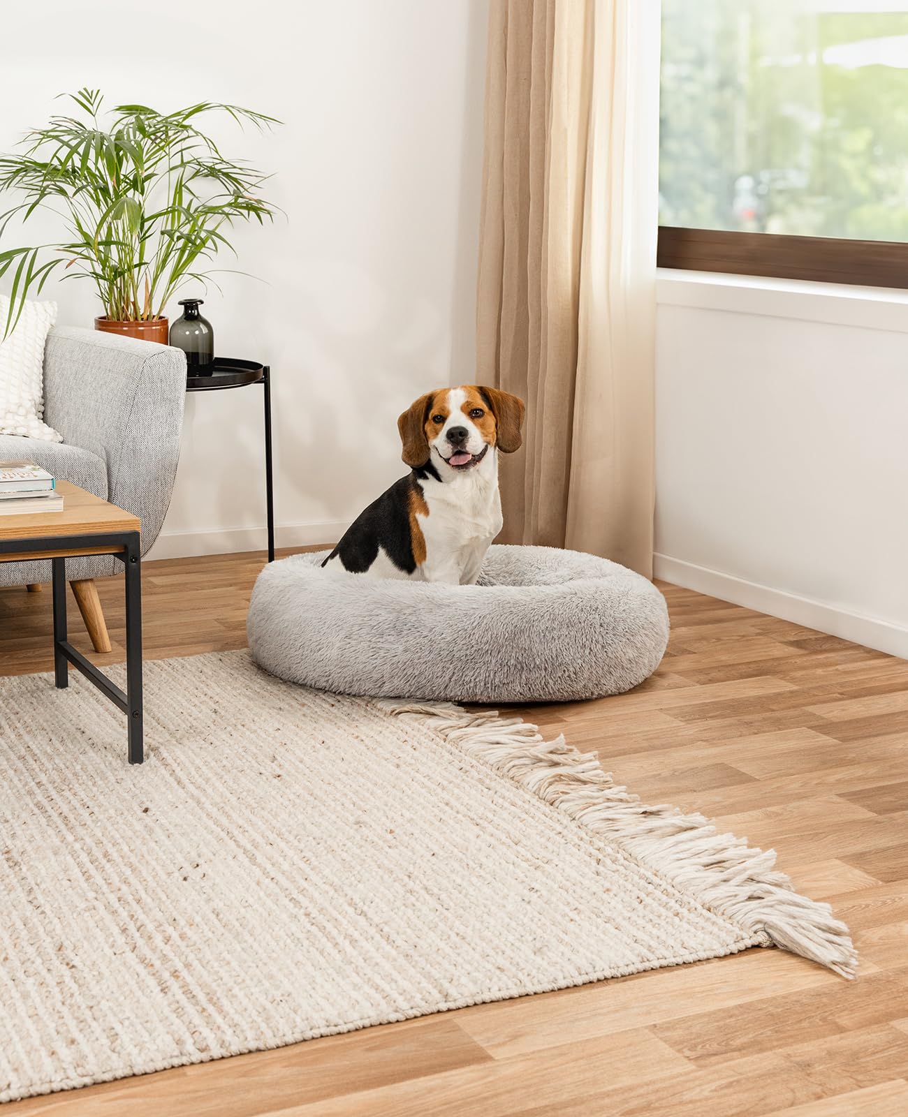 lionto Letto per Cani Rotondo Cuscino Gatti Letto Donut, (XXL) 80 cm Ø Grigio Chiaro