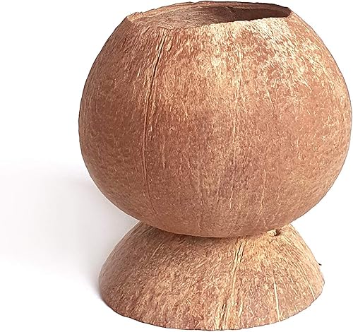 Miniatura 9 de Rainforest Bowls Juego de 2 macetas de coco con pedestal con orificio de drenaje, perfectas para suculentas, flores, plantas pequeñas, jardines