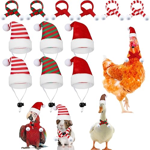 CCINEE Juego de 12 bufandas de gorro de pollo para mascotas, mini sombrero de Papá Noel, bufanda de Navidad con correa ajustable para la barbilla