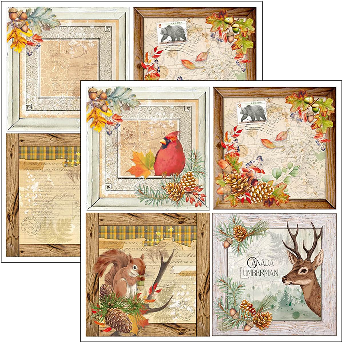 Ciao Bella Into The Wild 12"x12" Patterns Pad - Image 3