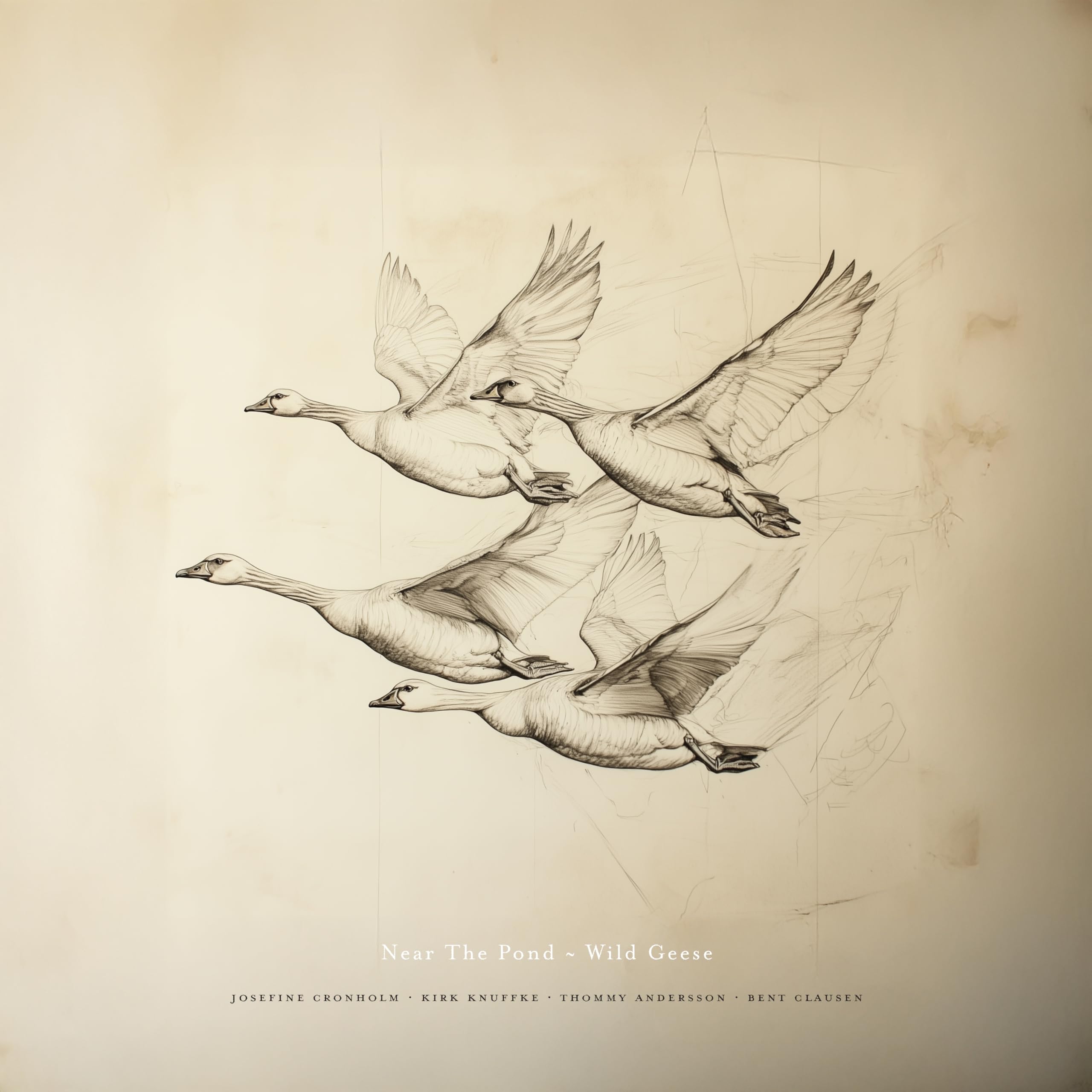 WILD GEESE