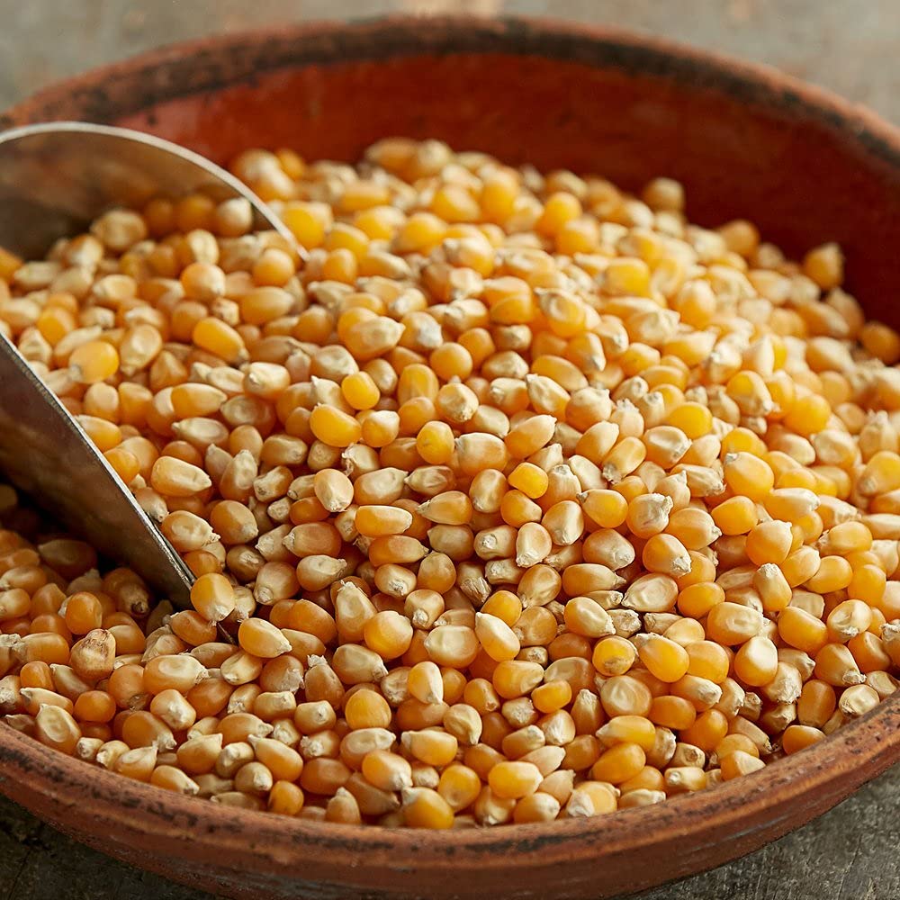 JEET by KSHS Organic Popcorn Kernels Seeds & 100% Popping Kernels (Extra Crunchy Popcorn, 500grams)-picture-21
