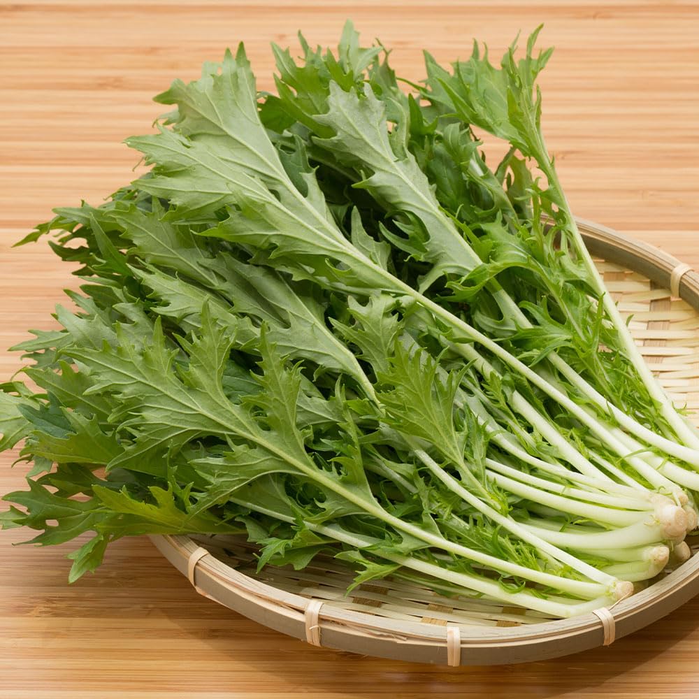 Mizuna Organic Seeds – Organically Grown Seed – Quick to Grow, Spicy Leaves – for Your Beautiful Kitchen Garden