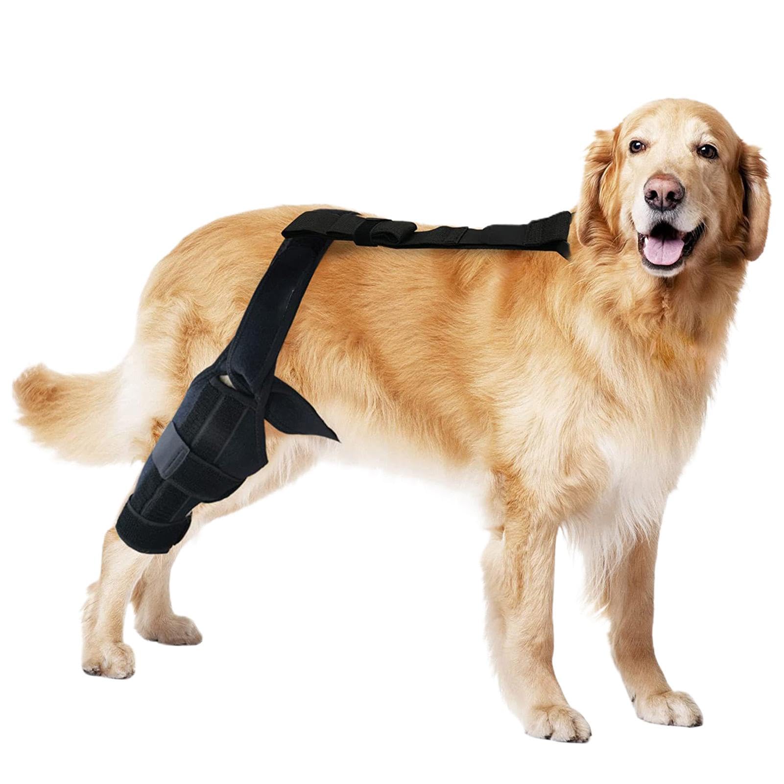 Amazon.co.jp: 犬用膝サポートブレース、犬用ACL膝用ブレース, 犬用膝