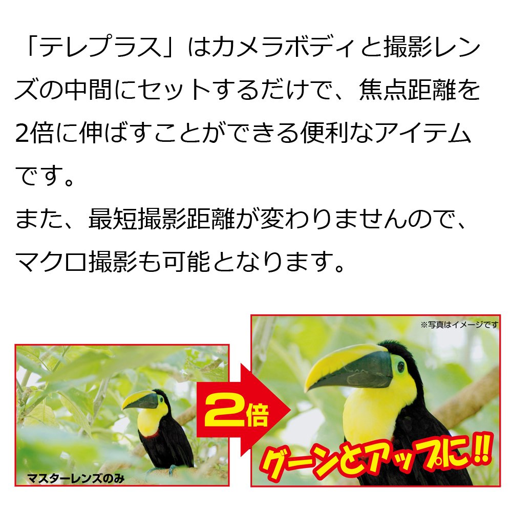 Kenko テレコンバーター テレプラス 2倍 PRO300 DGXーE キヤノンEOS用 835609 Amazon | Kenko テレコンバーター テレプラス 2倍 PRO300 DGXーE