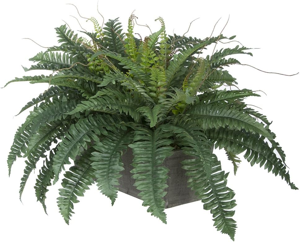 House of Silk Flowers Artificial Fern in Grey-Washed Wood Ledge